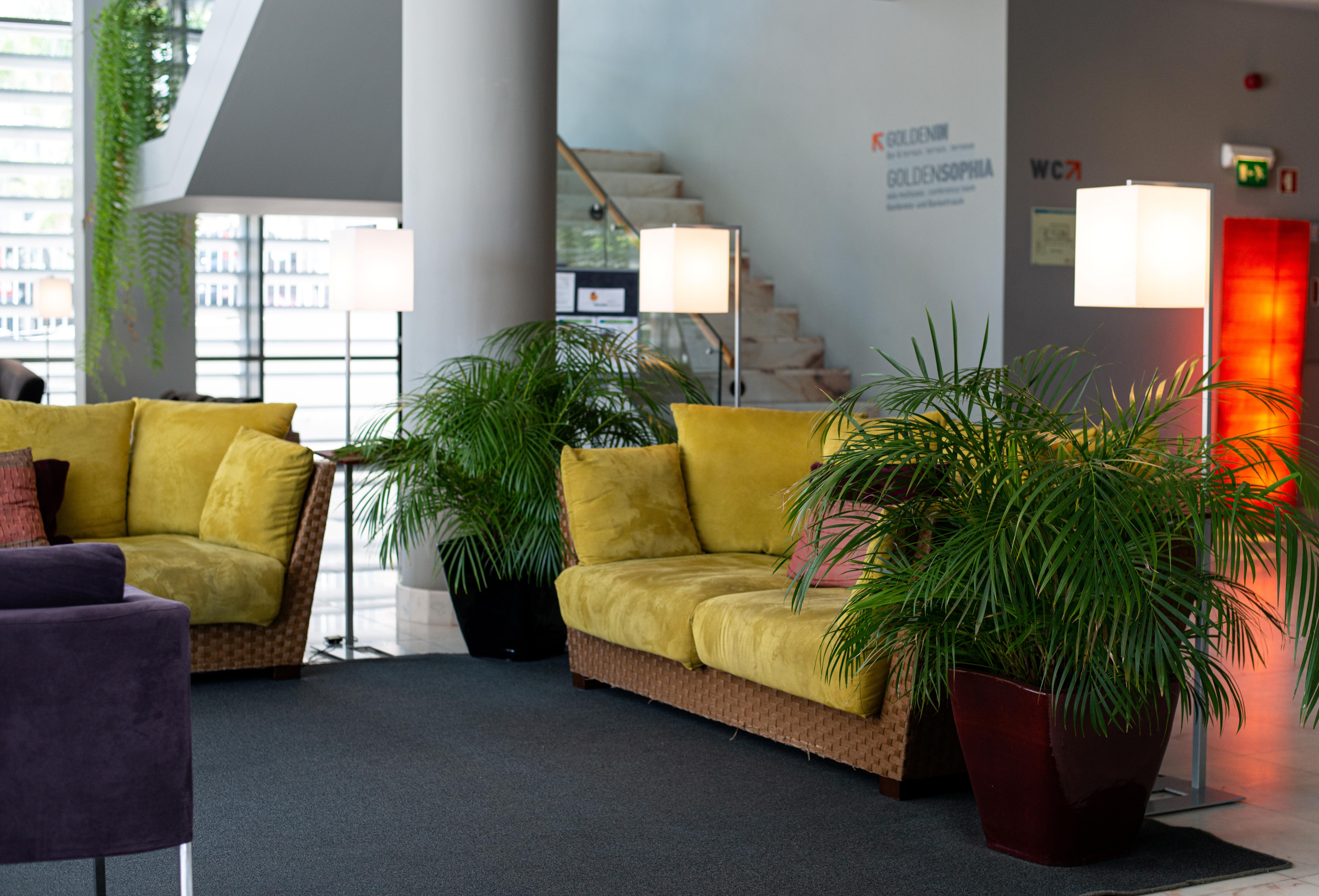 Golden Residence Hotel Funchal  Exterior photo